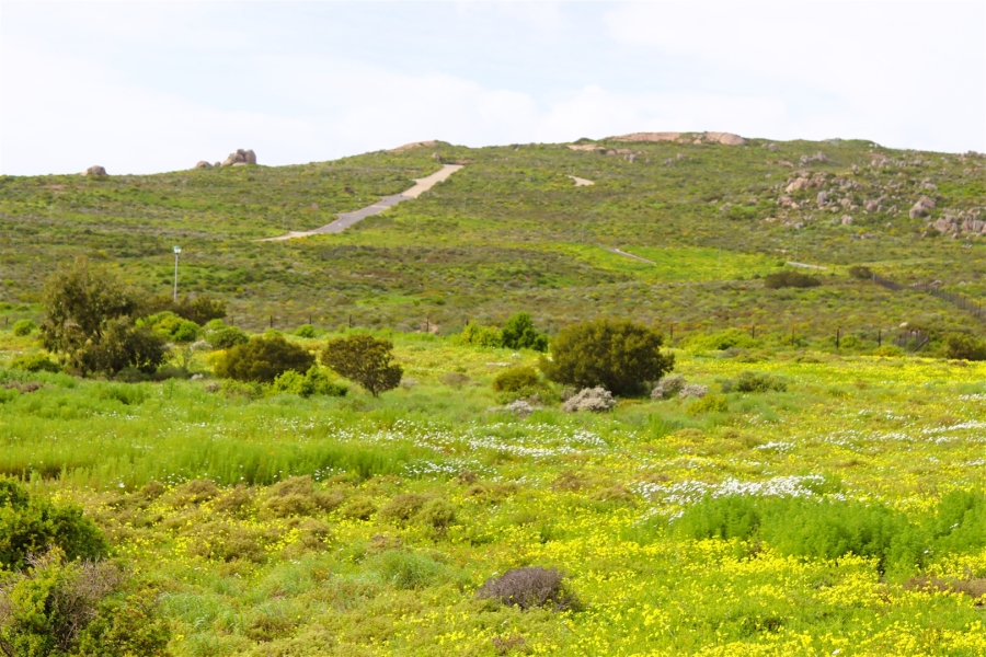 0 Bedroom Property for Sale in St Helena Views Western Cape